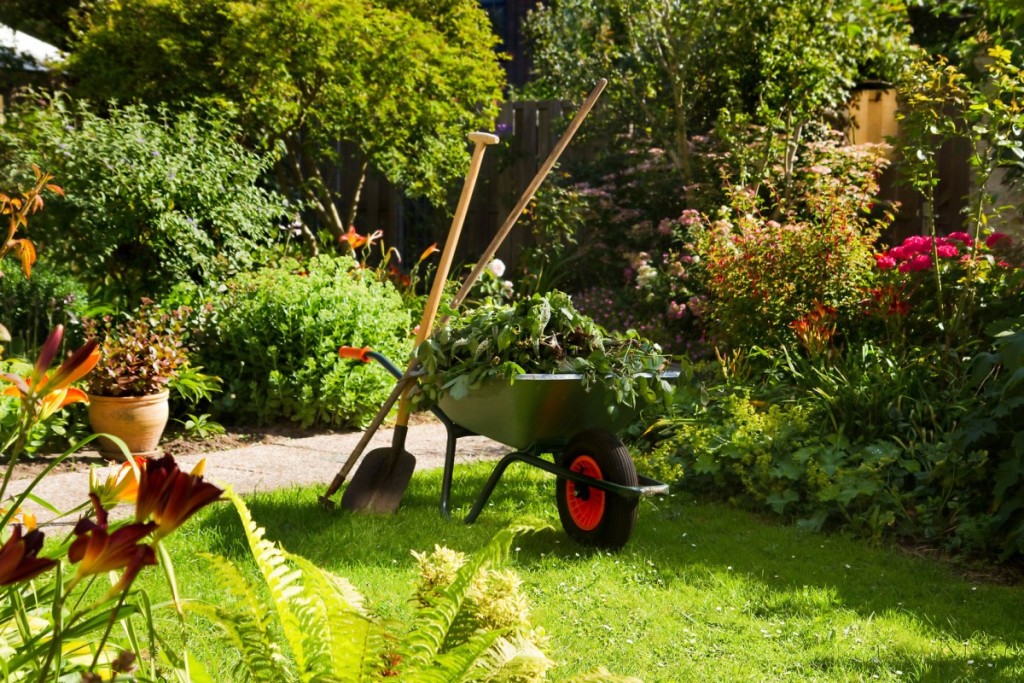 tuinonderhoud